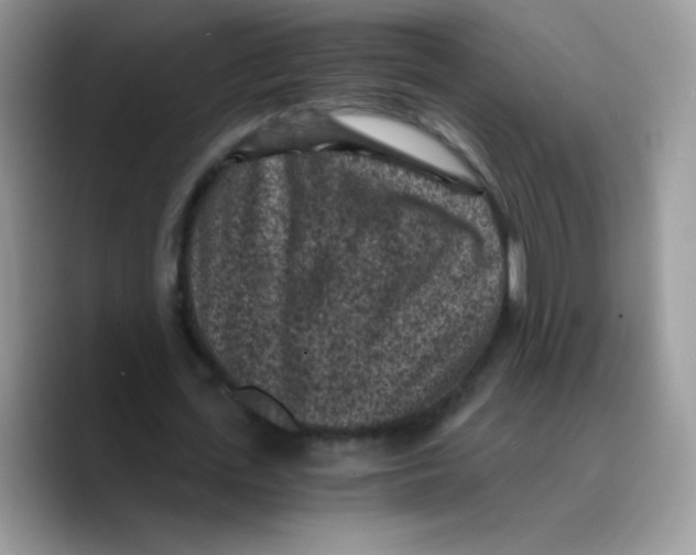 X0000089750723200707201921