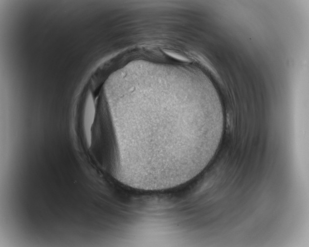 X0000089750724200707201921