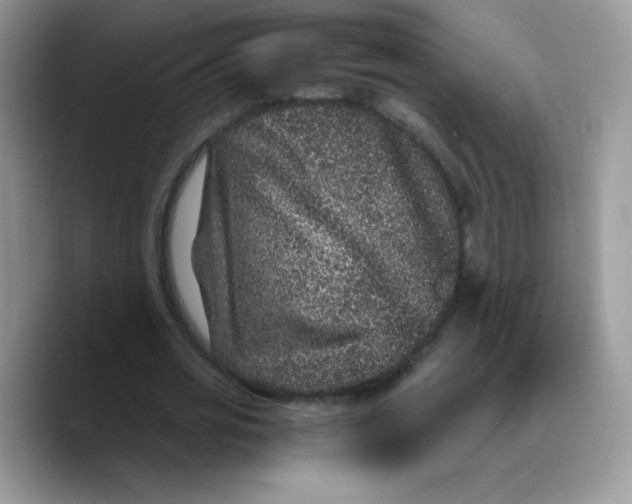 X0000089750725200707201921