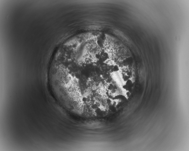 X0000089750729200707201921