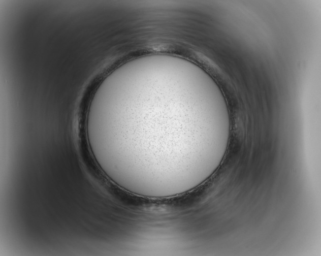 X0000089750730200707201921