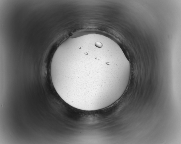 X0000089750731200707201921