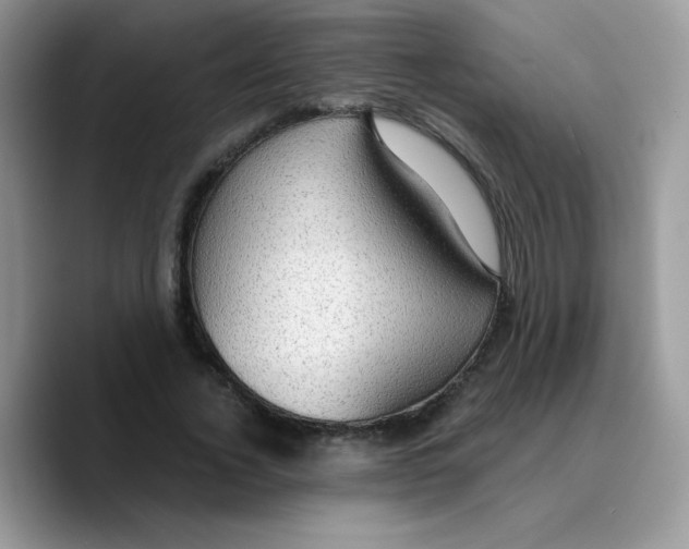 X0000089750732200707201921