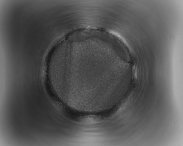 X0000089750736200707201921