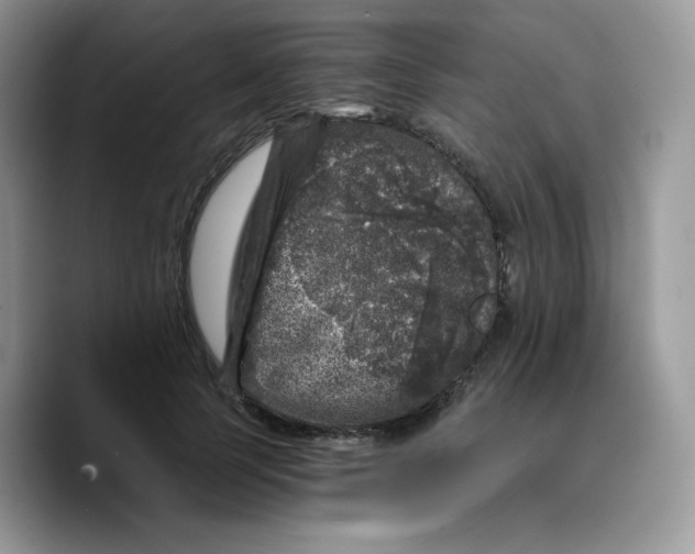 X0000089750745200707201922