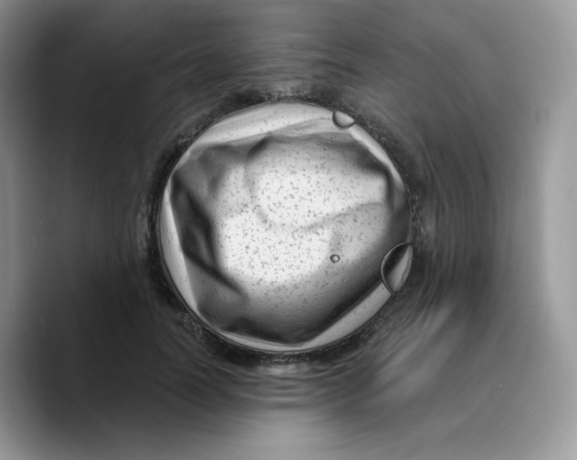 X0000089750746200707201922