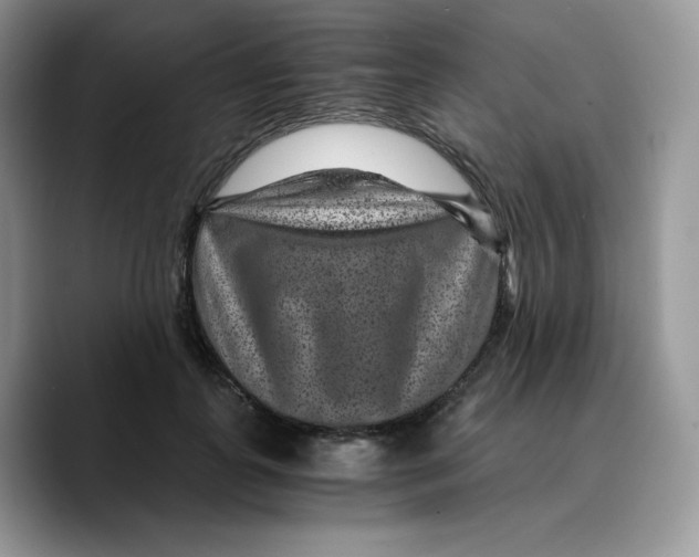 X0000089750747200707201922