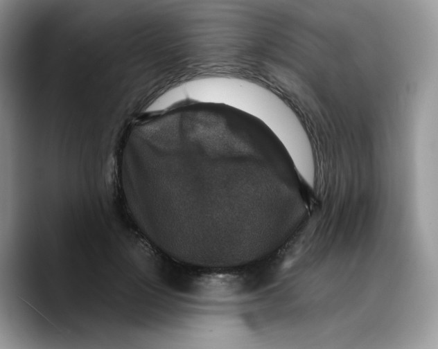 X0000089750748200707201922