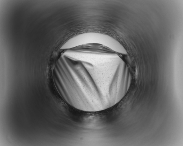 X0000089750750200707201922