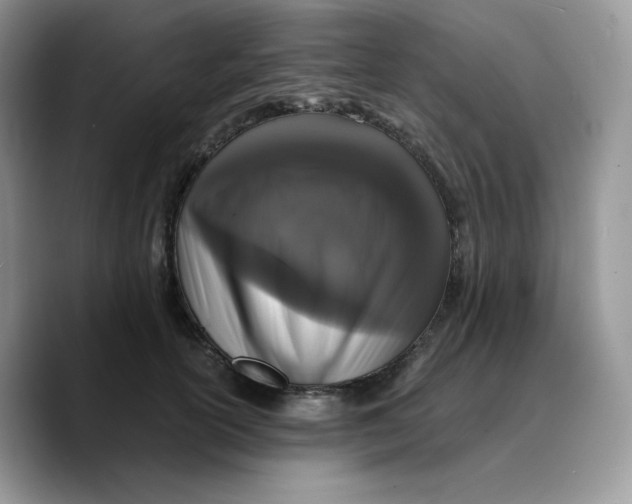 X0000089750754200707201922