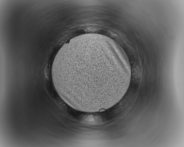 X0000089750755200707201922