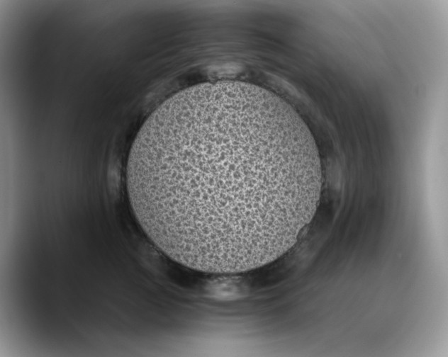 X0000089750761200707201922