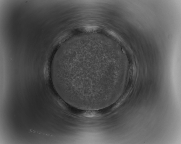 X0000089750762200707201922