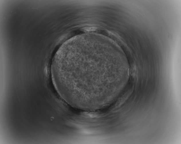 X0000089750763200707201922