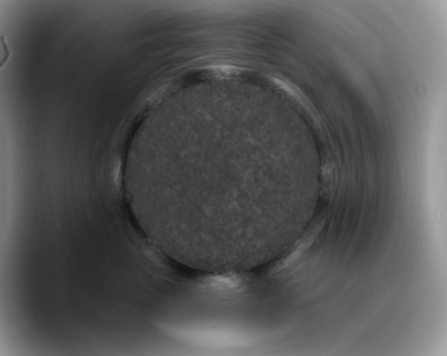 X0000089750765200707201922