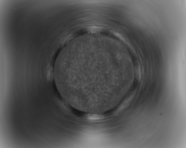 X0000089750766200707201922