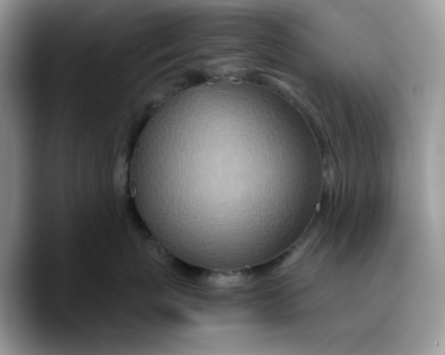 X0000089750767200707201922