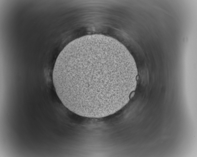 X0000089750770200707201921