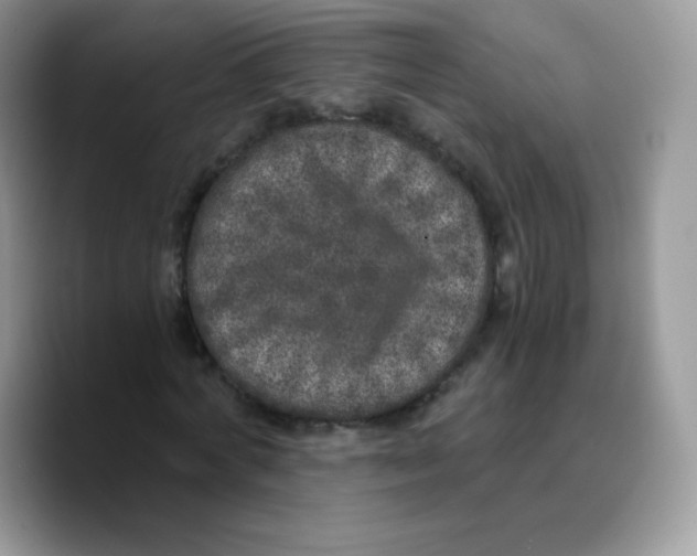 X0000089750772200707201921