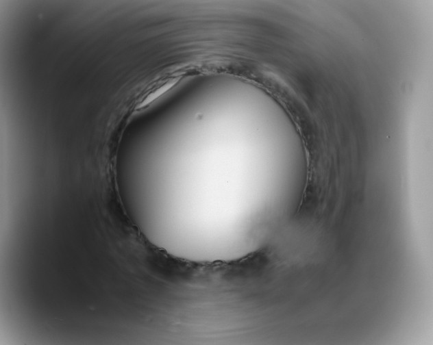 X0000089750773200707201921