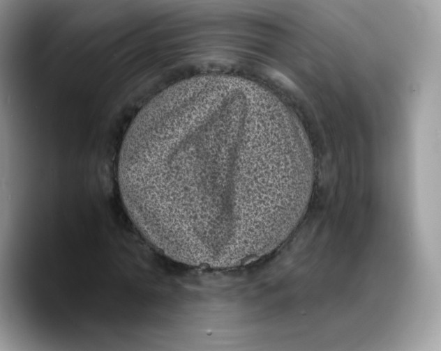 X0000089750774200707201921