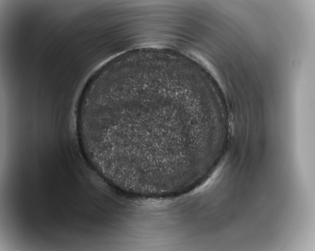 X0000089750779200707201921