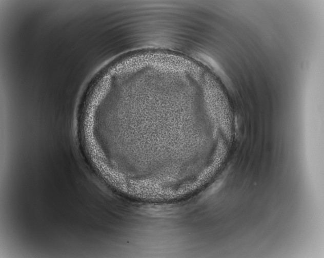 X0000089750780200707201921