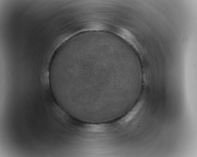 X0000089750781200707201921