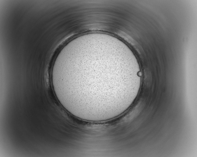 X0000089750782200707201921