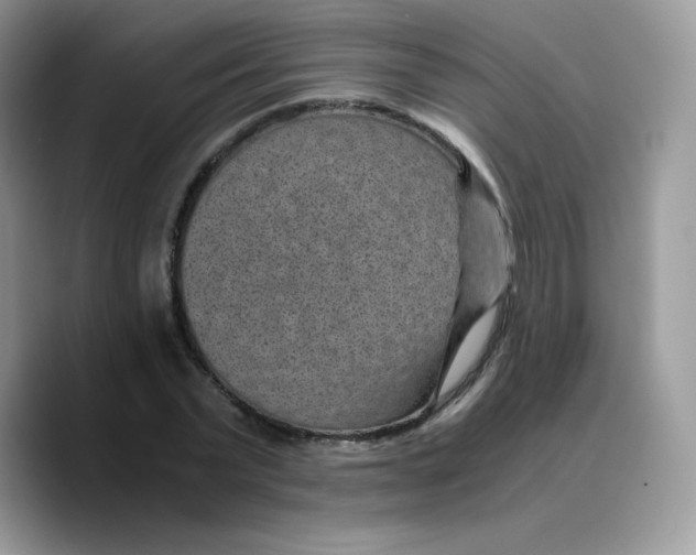 X0000089750783200707201921