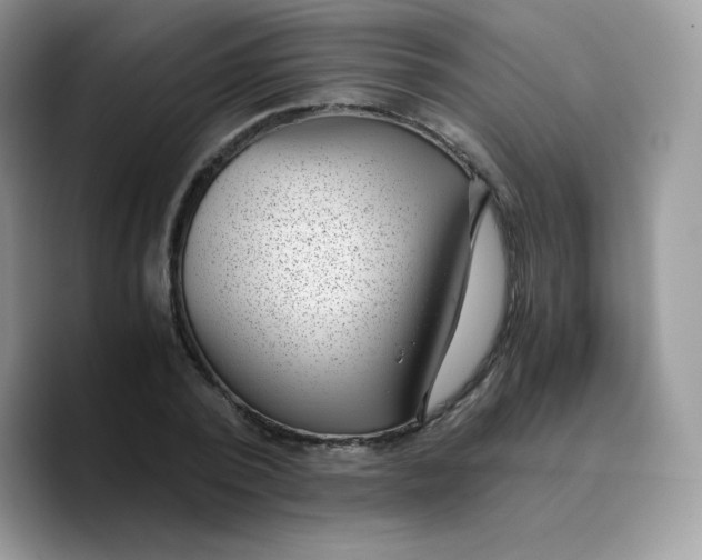 X0000089750784200707201921