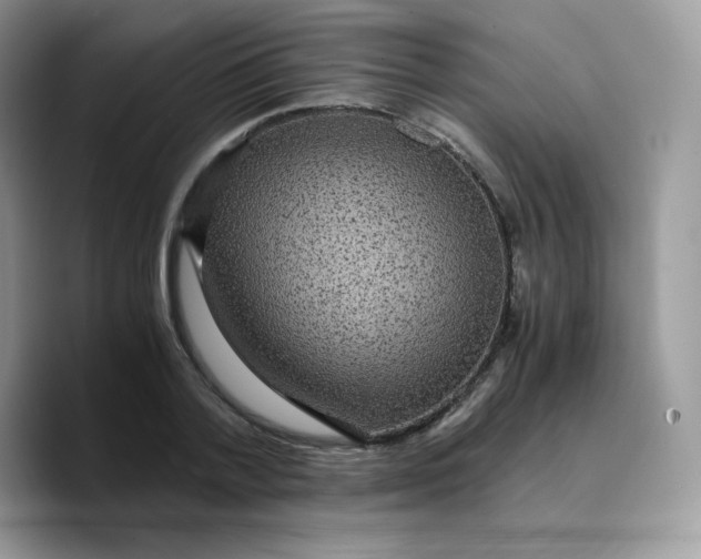 X0000089750788200707201921