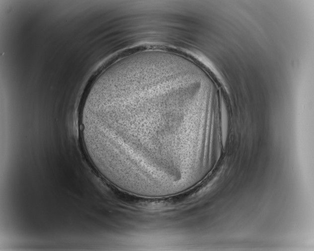 X0000089750791200707201921