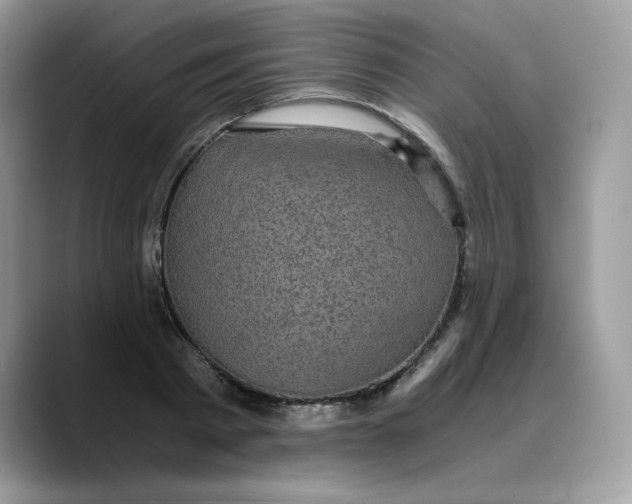 X0000089750793200707201921