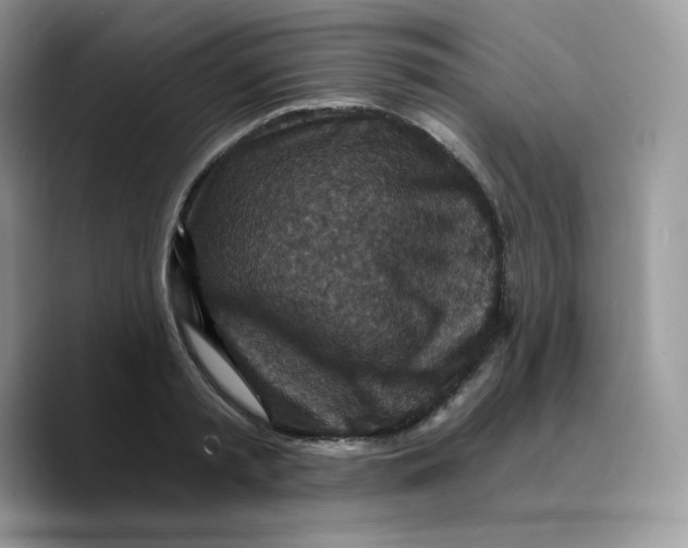 X0000089750797200707201921