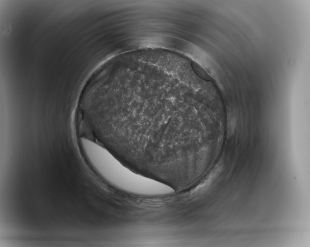 X0000089750798200707201921