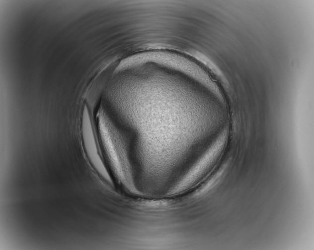 X0000089750801200707201921