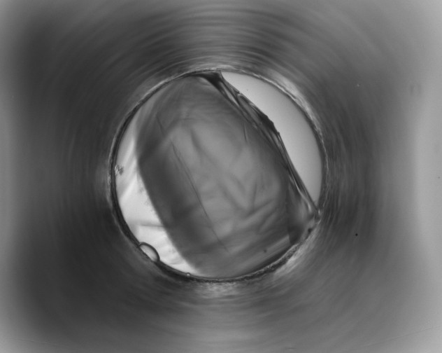 X0000089750802200707201921