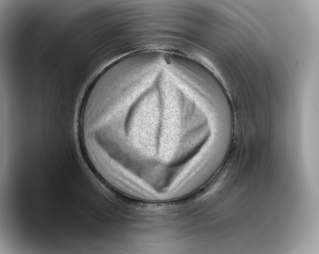 X0000089750803200707201921