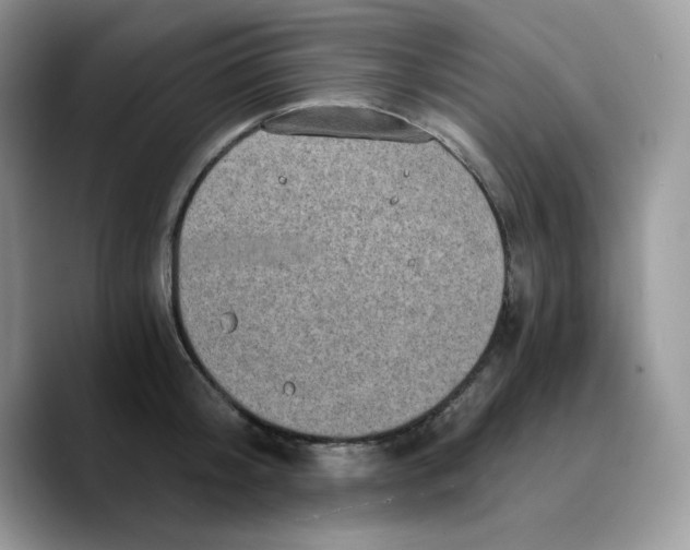 X0000089750804200707201921