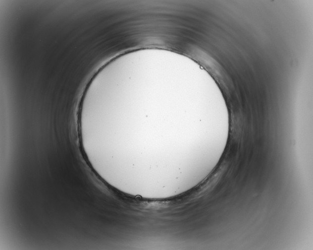 X0000089750808200707201921