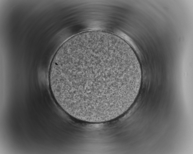 X0000089750810200707201921