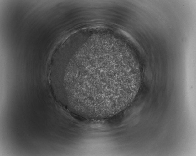 X0000089750823200707201920