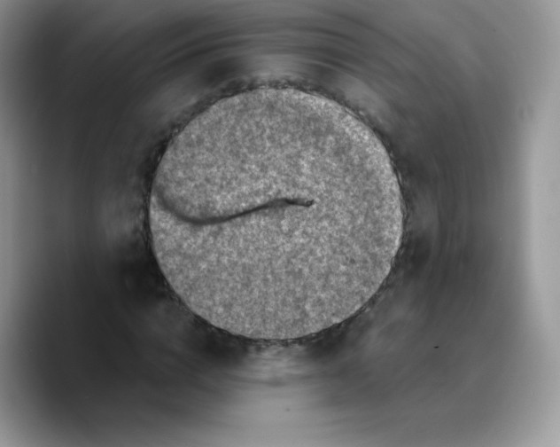 X0000089750824200707201920