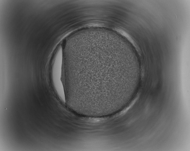 X0000089750829200707201920