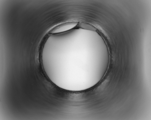 X0000089750830200707201920