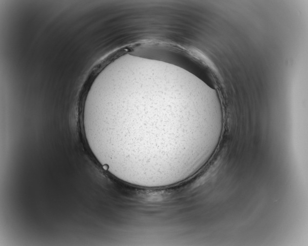 X0000089750831200707201920