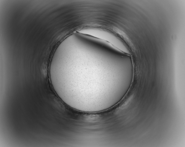 X0000089750833200707201920