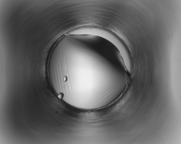 X0000089750834200707201920