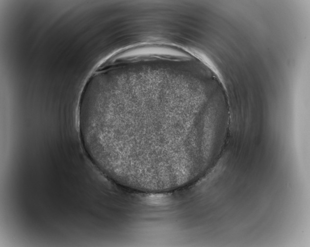 X0000089750839200707201920